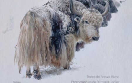 La rencontre avec Rosula Blanc, éleveuse de yaks en Valais, fut étonnante… Une rencontre teintée de mystère, de synchronicités, d&rsquo;apprivoisement respectif… grâce aux yaks et à l&rsquo;un d&rsquo;eux en particulier, Tungkar. Six mois plus tard, je me retrouve à La Sage, petit village valaisan où Rosula organise le vernissage de la sortie de son livre [&hellip;]